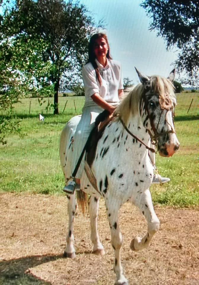 CABALLO PINTADO 08 foto vieja