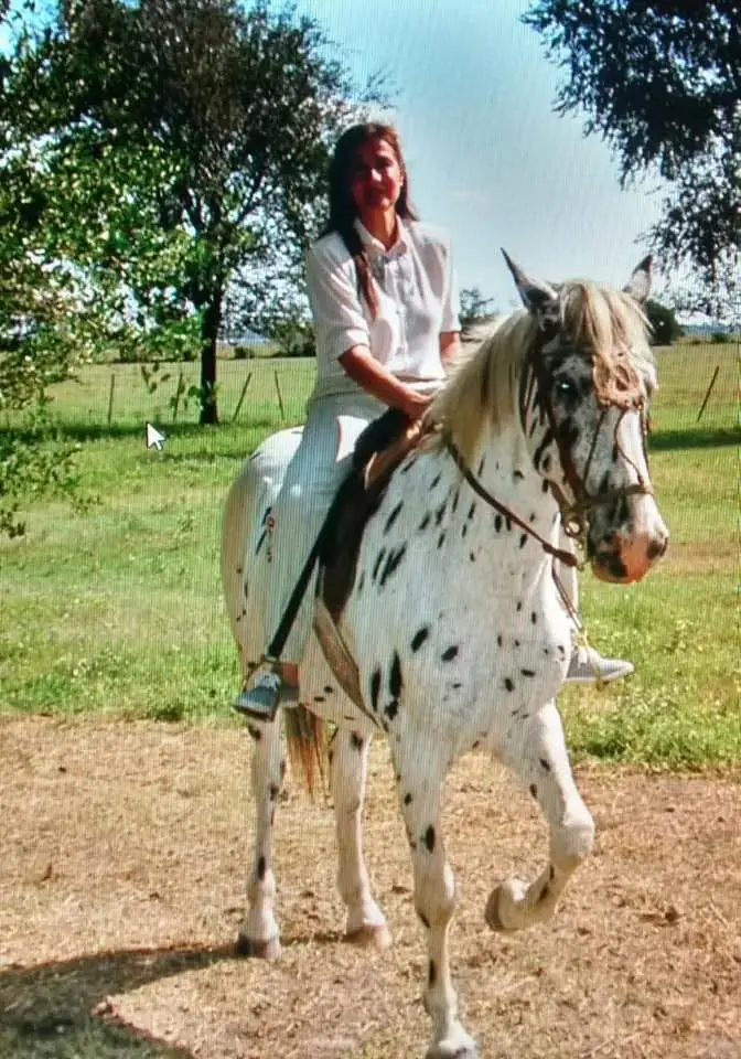 CABALLO PINTADO 08 foto vieja CABALLO PINTADO 08 foto vieja