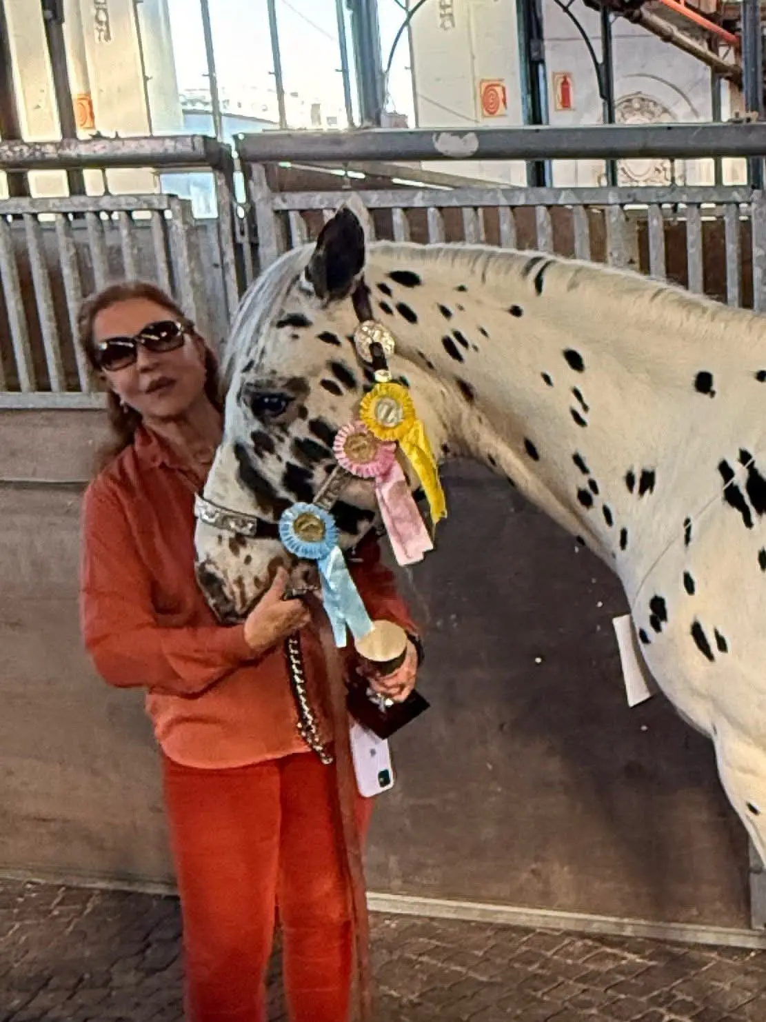 CABALLO PINTADO GANADOR