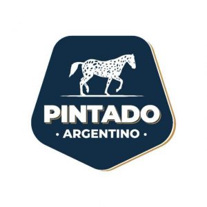 Logo pintado Argentino